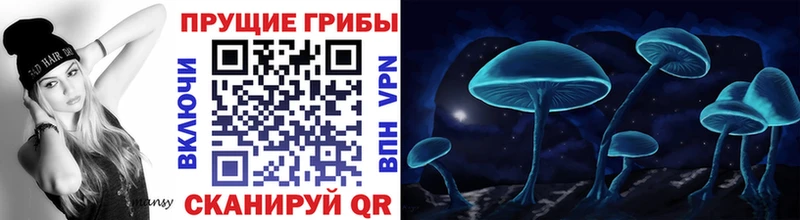 закладка  Кунгур  Псилоцибиновые грибы прущие грибы 