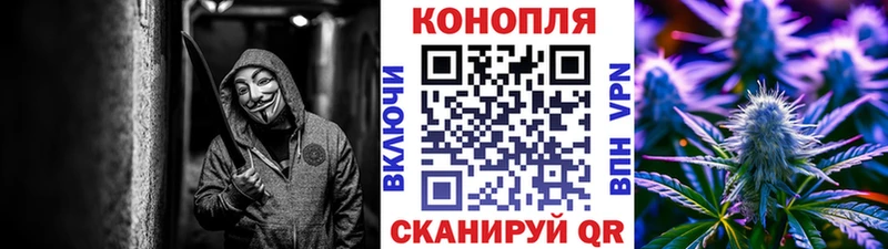 Бошки Шишки сатива  как найти   Кунгур 